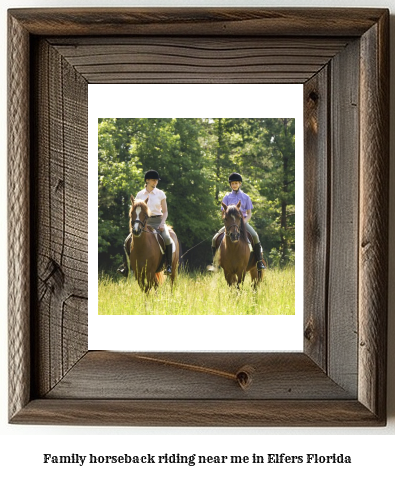 family horseback riding near me in Elfers, Florida